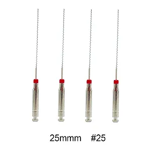 Paste carriers 25 mm #25 (4 buc.)